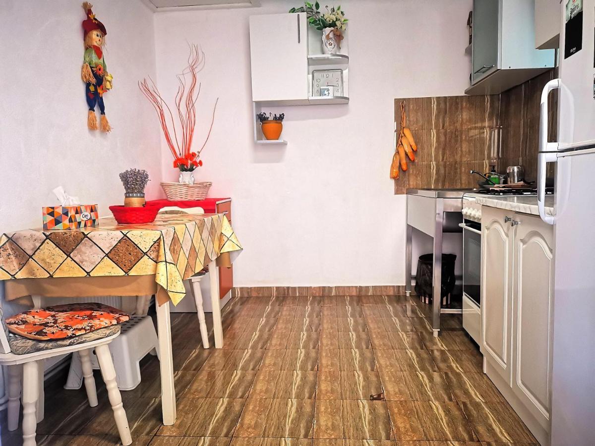 Curtea de Argeş Casa Petrescuヴィラ エクステリア 写真