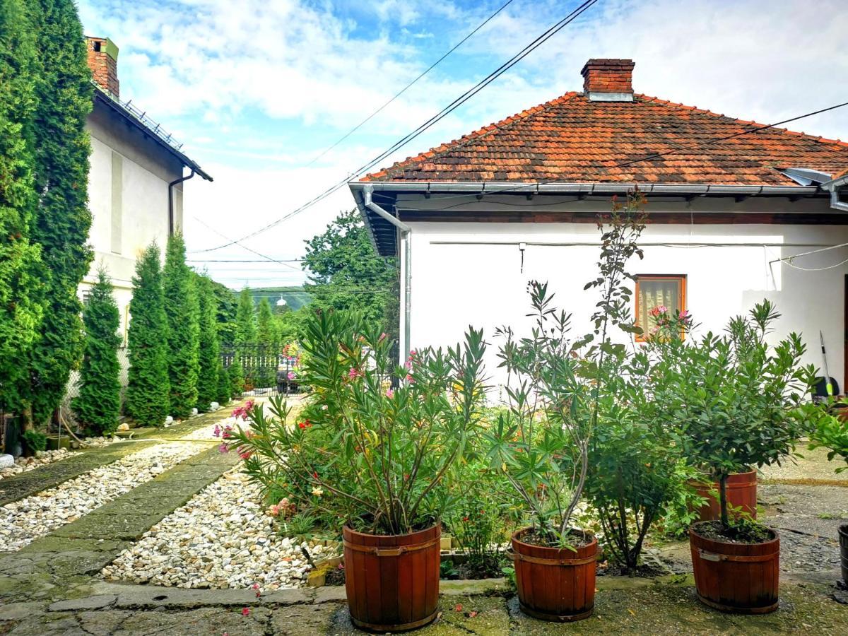 Curtea de Argeş Casa Petrescuヴィラ エクステリア 写真