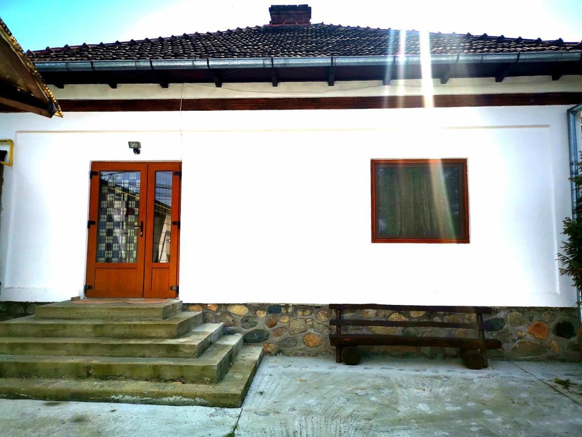 Curtea de Argeş Casa Petrescuヴィラ エクステリア 写真